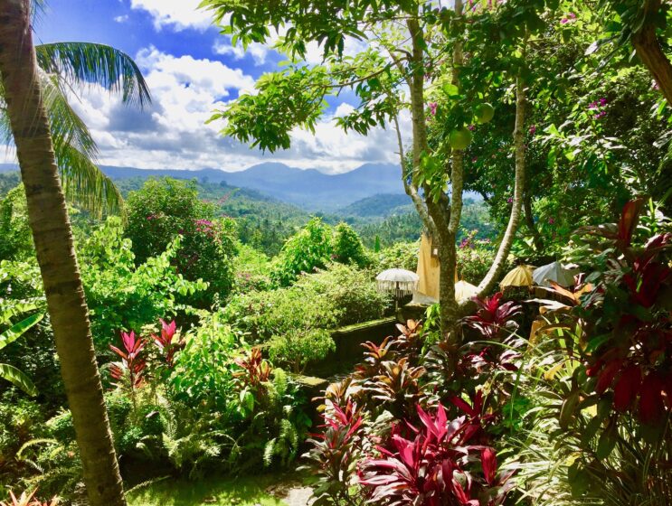 The front garden view ftom our authentic Bali mountain view
